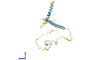 AlphaFold protein structure predicition of Mouse Recombinant Ebag9 Protein, UniprotID Q9D0V7