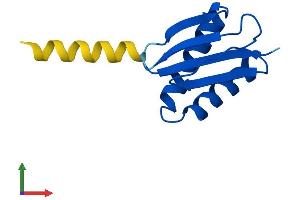 Protein Structure (PS) image for Dynein, Axonemal, Light Chain 4 (DNAL4) (AA 1-105) protein (His tag) (ABIN7561341)