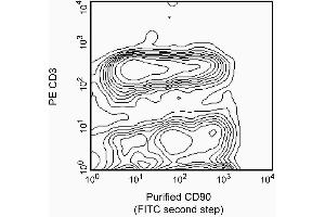 Stained with purified mouse anti-rat CD90/mouse CD90. (CD90 Antikörper)