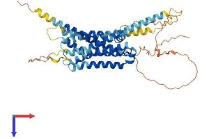 Dopamine Receptor d1 Protein (AA 1-446) (His tag)