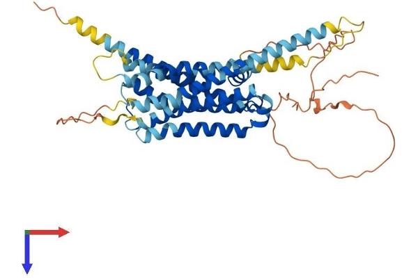 Dopamine Receptor d1 Protein (AA 1-446) (His tag)