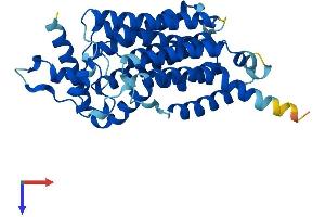 G6PC Protein (AA 1-357) (His tag)