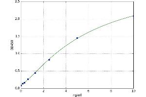 A typical standard curve