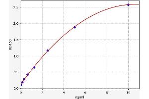 Typical standard curve (METRNL ELISA Kit)