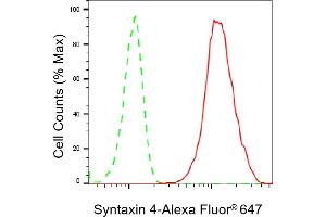 Flow cytometric analysis of Syntaxin 4 expression in HepG2 cells using Syntaxin 4 antibody (ABIN7800496), 1:2,000). (Rekombinanter Syntaxin 4 Antikörper)