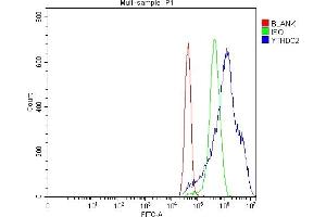 Flow Cytometry analysis of MCF-7 cells using anti-YTHDC2 antibody (ABIN7599661). (YTHDC2 Antikörper  (AA 105-1231))