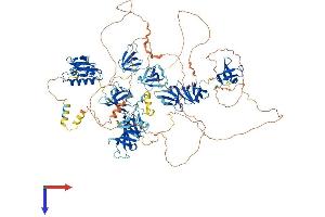 SUPT5H Protein (AA 1-1082) (His tag)