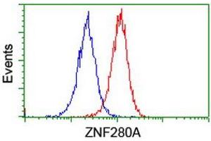 Image no. 3 for anti-Zinc Finger Protein 280A (ZNF280A) (AA 1-333) antibody (ABIN1490749)