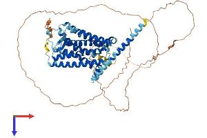 GPR50 Protein (AA 1-591) (His tag)