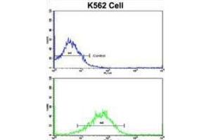 Flow Cytometry (FACS) image for anti-Secreted Frizzled-Related Protein 5 (SFRP5) antibody (ABIN3002916) (SFRP5 Antikörper)