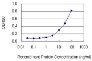 Detection limit for recombinant GST tagged EIF4E2 is 1 ng/ml as a capture antibody. (EIF4E2 Antikörper  (AA 1-245))