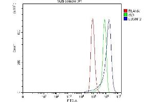 Flow Cytometry analysis of Hela cells using anti-B3GNT2 antibody (ABIN7602134).