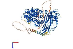 XYLT2 Protein (AA 1-865) (His tag)