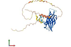 Protein Structure (PS) image for Regulating Synaptic Membrane Exocytosis 4 (RIMS4) (AA 1-269) protein (His tag) (ABIN7556556)