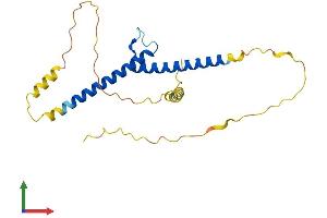 Protein Structure (PS) image for Basic Helix-Loop-Helix Family, Member E23 (BHLHE23) (AA 1-223) protein (His tag) (ABIN7558587)
