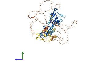 Protein Structure (PS) image for PHD Finger Protein 15 (PHF15) (AA 1-790) protein (His tag) (ABIN7548561)