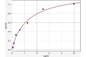 UCP3 ELISA Kit