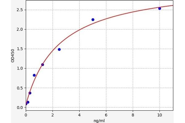 UCP3 ELISA Kit