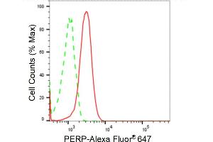 Flow cytometric analysis of PERP expression in Hela cells using PERP antibody (ABIN7800577), 1:2,000). (Rekombinanter PERP Antikörper)