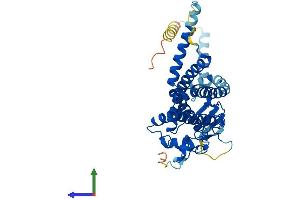 AlphaFold protein structure predicition of Human Recombinant ZDHHC16 Protein, UniprotID Q969W1