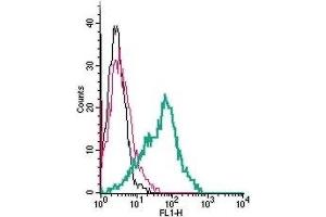 Cell surface detection of NrCAM by indirect flow cytometry in live intact human MEG-01 megakaryocytic leukemia cells:  (black line) Cells. (NrCAM Antikörper  (Extracellular, N-Term))