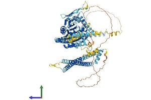 AlphaFold protein structure predicition of Mouse Recombinant Kif9 Protein, UniprotID Q9WV04