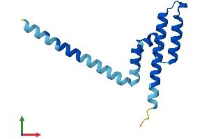 Protein Structure (PS) image for Presequence Translocase-Associated Motor 16 Homolog (PAM16) (AA 1-125) protein (His tag) (ABIN7544556)