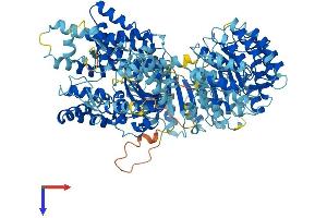 NLRC4 Protein (AA 1-1024) (His tag)