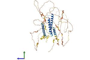 Protein Structure (PS) image for Coiled-Coil Domain Containing 120 (CCDC120) (AA 1-630) protein (His tag) (ABIN7552906)