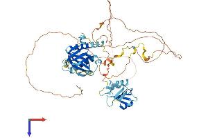 SHC1 Protein (AA 1-583) (His tag)