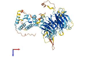 FBXO24 Protein (AA 1-589) (His tag)