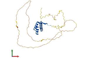 Protein Structure (PS) image for Homeobox C12 (HOXC12) (AA 1-280) protein (His tag) (ABIN7559590)