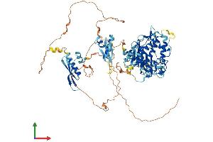 Protein Structure (PS) image for Adenosine Deaminase, RNA-Specific, B2 (ADARB2) (AA 1-739) protein (His tag) (ABIN7551371)