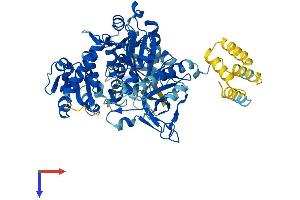 SLC27A5 Protein (AA 1-689) (His tag)