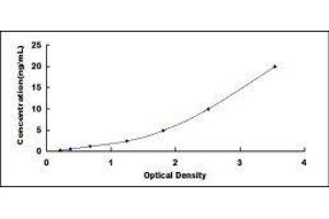 Twisted Gastrulation Homolog 1 (TWSG1) ELISA Kit