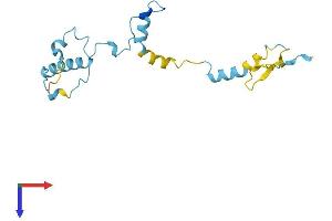 MPHOSPH6 Protein (AA 1-161) (His tag)