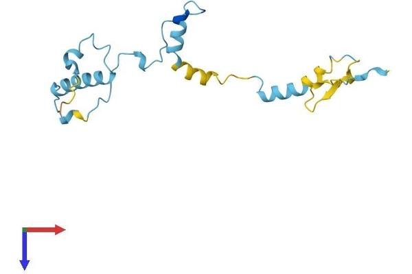 MPHOSPH6 Protein (AA 1-161) (His tag)