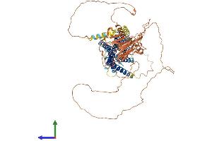 Protein Structure (PS) image for G Protein-Coupled Receptor 149 (GPR149) (AA 1-732) protein (His tag) (ABIN7557296)