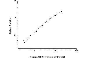 ATF6 ELISA Kit