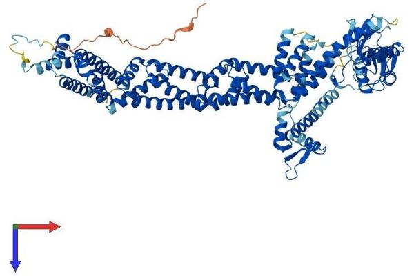 Cullin 4A Protein (CUL4A) (AA 1-759) (His tag)