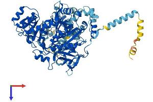 ACSL6 Protein (AA 1-697) (His tag)
