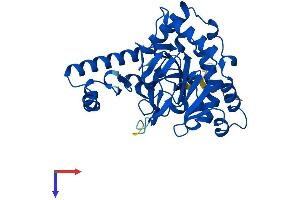 OGFOD2 Protein (AA 1-350) (His tag)