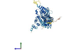 Protein Structure (PS) image for Solute Carrier Family 13 Member 2 (SLC13A2) (AA 1-592) protein (His tag) (ABIN7545919)