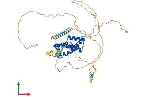 AlphaFold protein structure predicition of Mouse Recombinant Pou3f2 Protein, UniprotID P31360