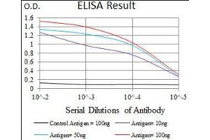Black line: Control Antigen (100 ng), Purple line: Antigen(10 ng), Blue line: Antigen (50 ng), Red line: Antigen (100 ng), (DNAL4 Antikörper  (AA 1-105))