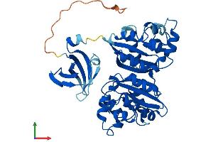 Protein Structure (PS) image for Nucleoside Diphosphate Kinase (NME7) (AA 1-395) protein (His tag) (ABIN7561751)