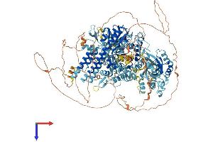 SBNO1 Protein (AA 1-1390) (His tag)