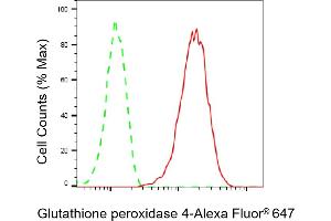 Flow cytometric analysis of Glutathione peroxidase 4 expression in HAP-1 cells using Glutathione peroxidase 4 antibody (ABIN7798753), 1:2,000). (Rekombinanter GPX4 Antikörper)
