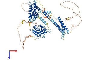GGA1 Protein (AA 1-639) (His tag)