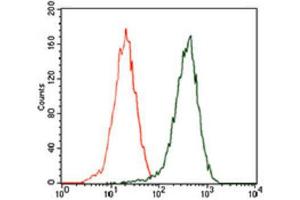 Flow Cytometry (FACS) image for anti-Sequestosome 1 (SQSTM1) (AA 232-356) antibody (ABIN1846090) (SQSTM1 Antikörper  (AA 232-356))